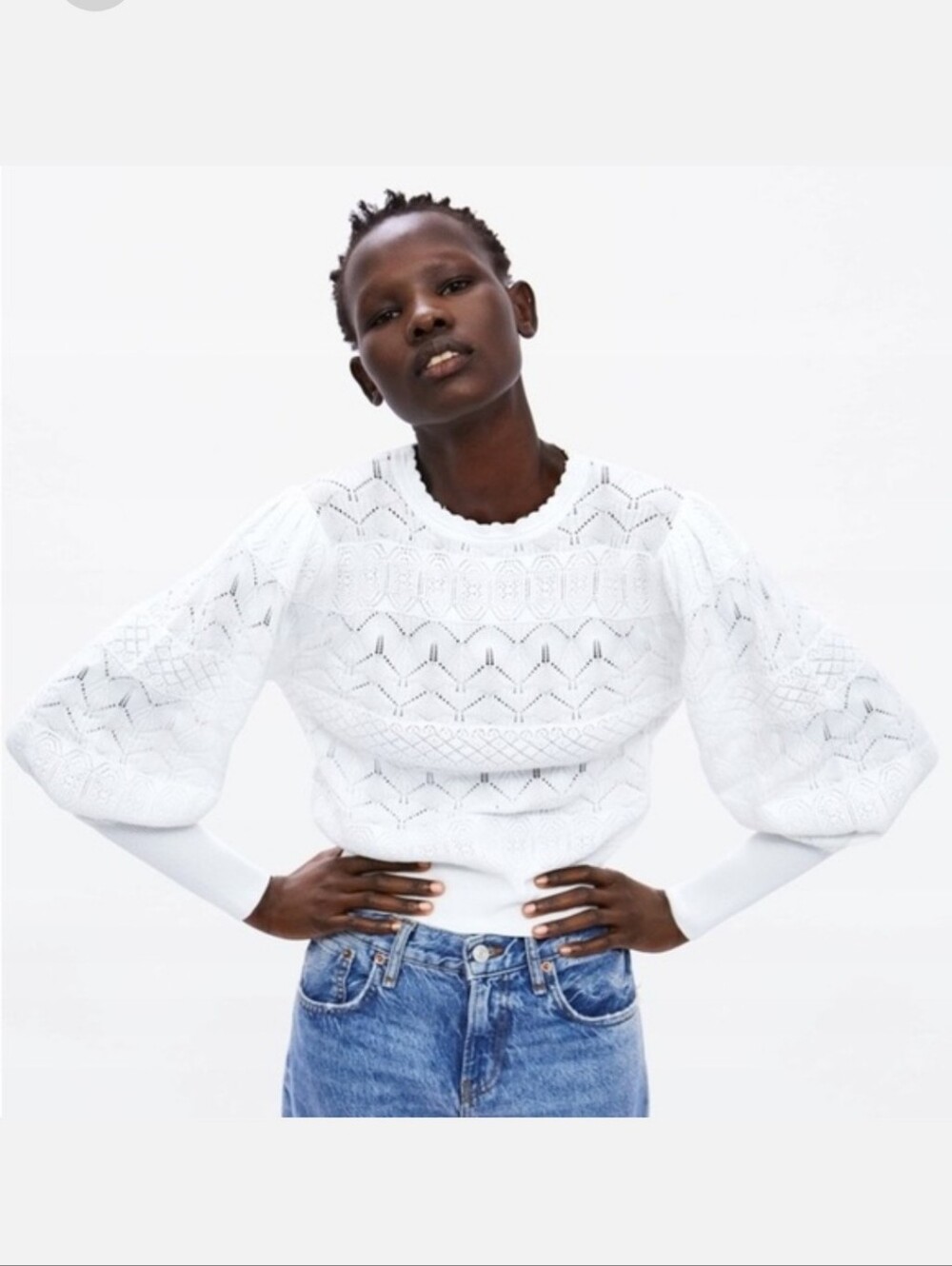 Zara Crochet Balloon Sleeve Sweater